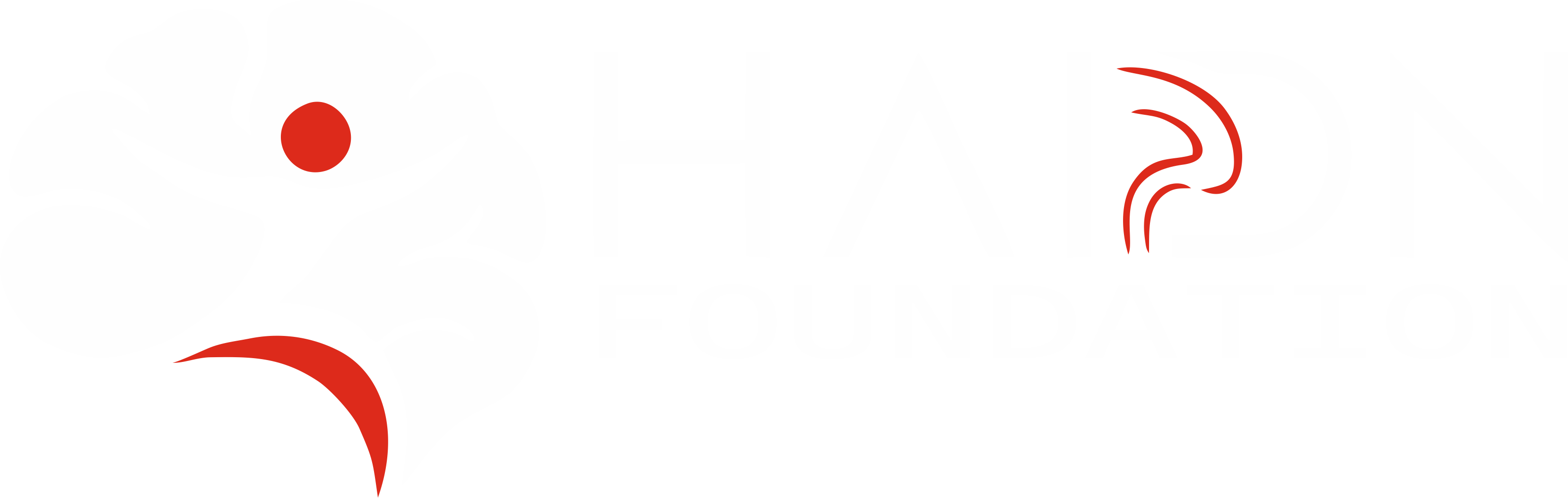 HAIDN Foundation logo